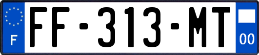 FF-313-MT