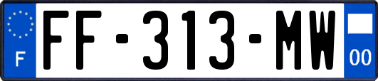 FF-313-MW
