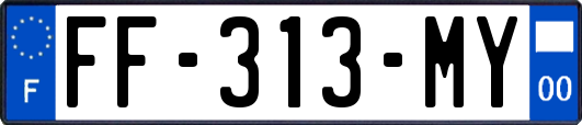 FF-313-MY