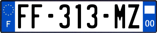 FF-313-MZ