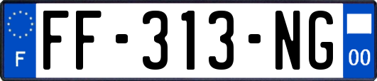 FF-313-NG