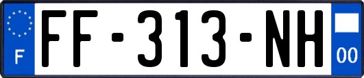 FF-313-NH