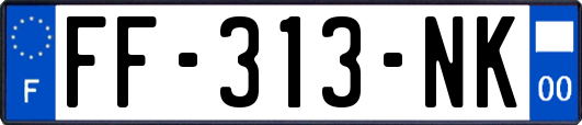 FF-313-NK