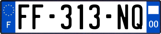 FF-313-NQ