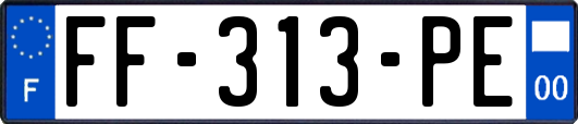 FF-313-PE