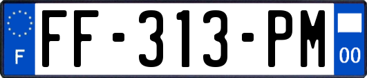 FF-313-PM