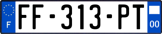 FF-313-PT
