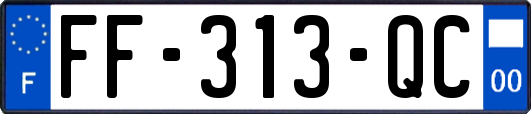 FF-313-QC