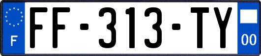 FF-313-TY