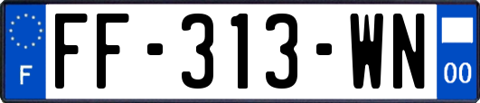 FF-313-WN