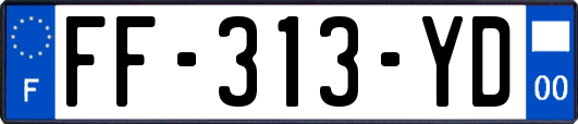 FF-313-YD