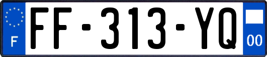 FF-313-YQ