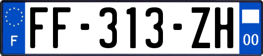 FF-313-ZH