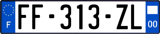 FF-313-ZL