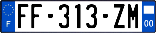 FF-313-ZM