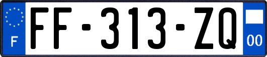 FF-313-ZQ