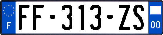 FF-313-ZS