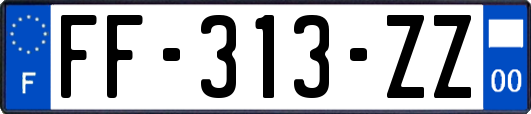 FF-313-ZZ