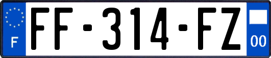 FF-314-FZ