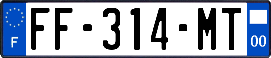 FF-314-MT