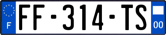 FF-314-TS