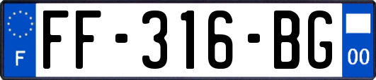 FF-316-BG