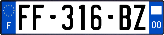 FF-316-BZ