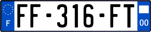 FF-316-FT