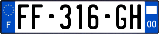 FF-316-GH
