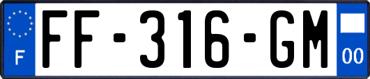 FF-316-GM
