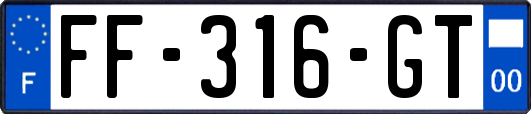 FF-316-GT