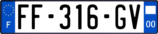 FF-316-GV