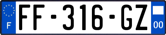 FF-316-GZ