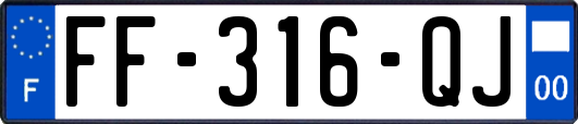 FF-316-QJ