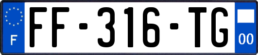 FF-316-TG