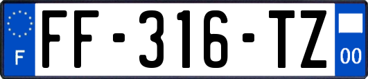 FF-316-TZ