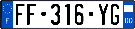 FF-316-YG