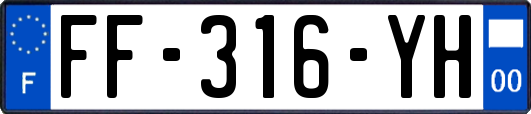 FF-316-YH