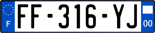 FF-316-YJ