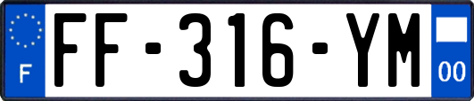 FF-316-YM