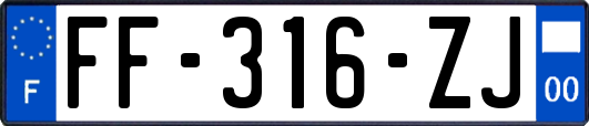 FF-316-ZJ