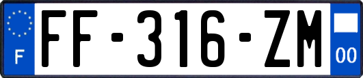 FF-316-ZM