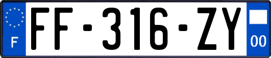 FF-316-ZY