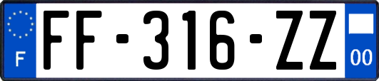 FF-316-ZZ