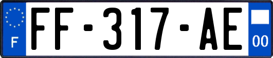 FF-317-AE