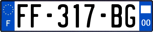 FF-317-BG