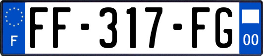FF-317-FG