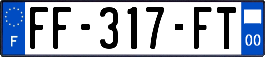 FF-317-FT