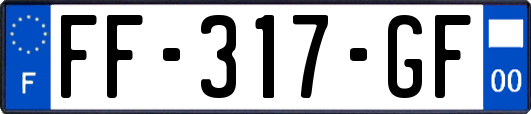 FF-317-GF