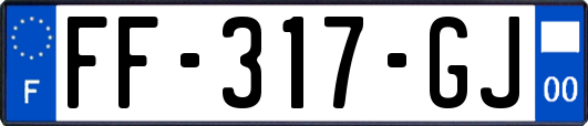 FF-317-GJ